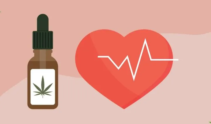 Ciśnienie i konopie: Praktyczny poradnik pomiaru i interpretacji wyników