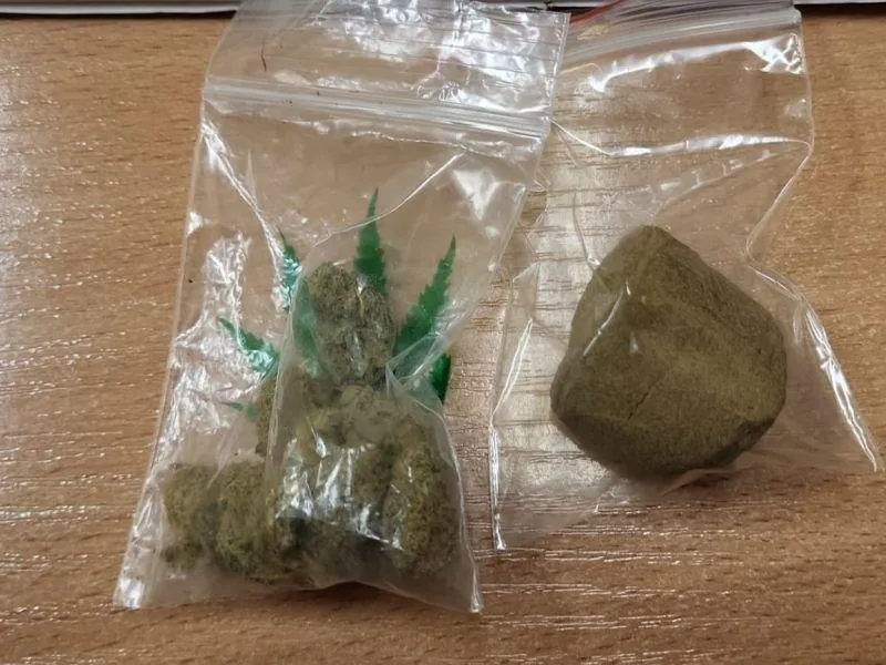 Haszysz: Co musisz wiedzieć, aby lepiej zrozumieć ten temat