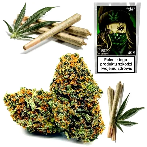 Jak skręcić idealny joint? Praktyczny poradnik dla początkujących palaczy