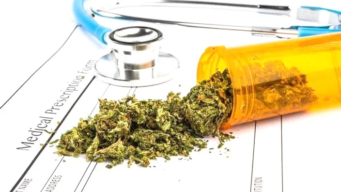 Marihuana leczy? Odkryj prawdę o medycznej marihuanie, fakty i mity