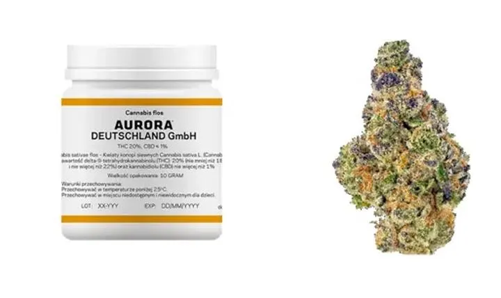 Nowe oblicze medycyny: Jak filmy wpływają na postrzeganie marihuany w terapii