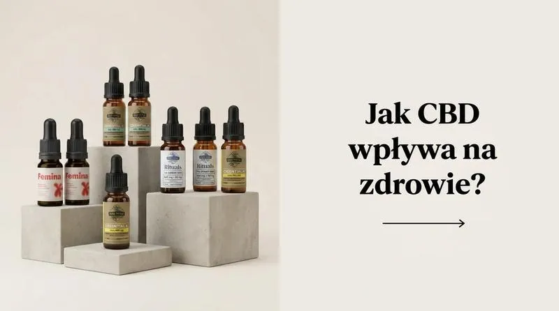 Odkryj moc: jak CBD może wspierać codzienną opiekę w różnych dolegliwościach