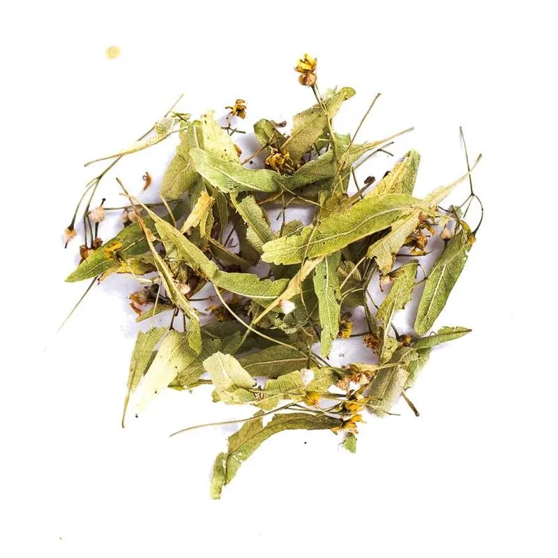 Odkryj niezwykłe właściwości i zastosowania suszonej lipy w twoim domu