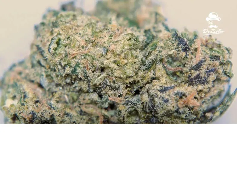 Palić marihuanę jak zawodowiec: krok po kroku dla początkujących