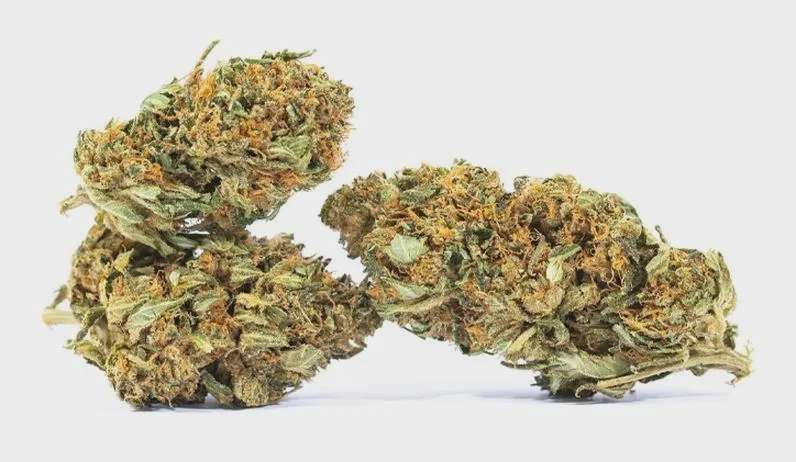 Red no 2: Odkryj najciekawsze odmiany i wybierz swoją ulubioną