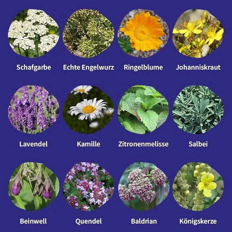 Zioła w Twoim ogrodzie: Popularne rośliny lecznicze w skrócie