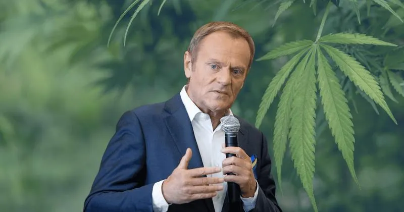 Aktualny status prawny marihuany