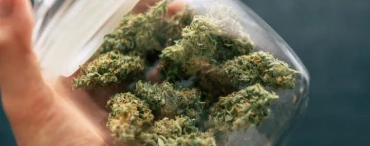 Detoks marihuany