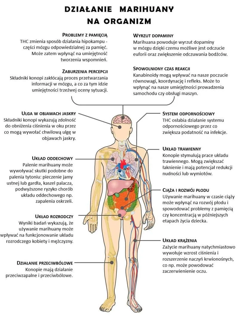 Fizyczne objawy odstawienia marihuany