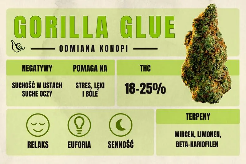 Gorilla Glue