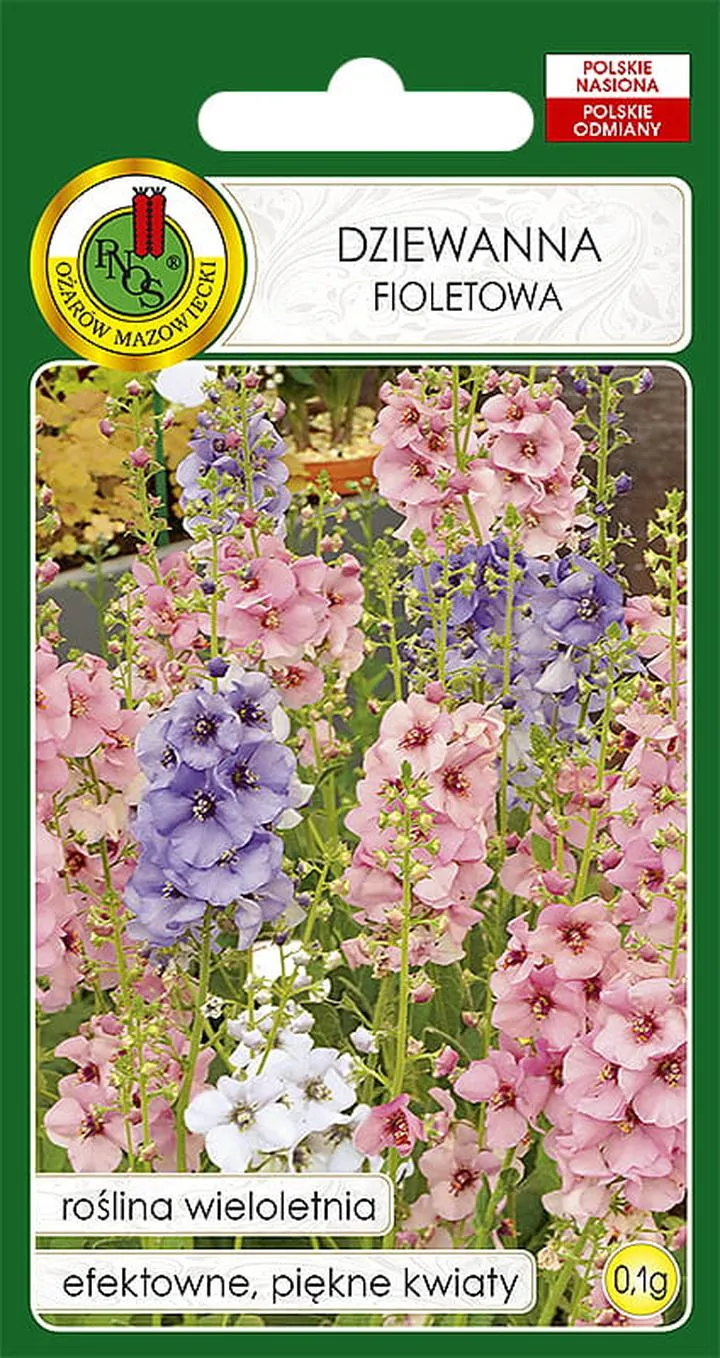 Historia i pochodzenie dziewanny