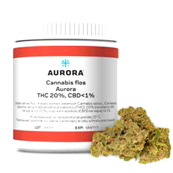 Kannabinoidy a percepcja