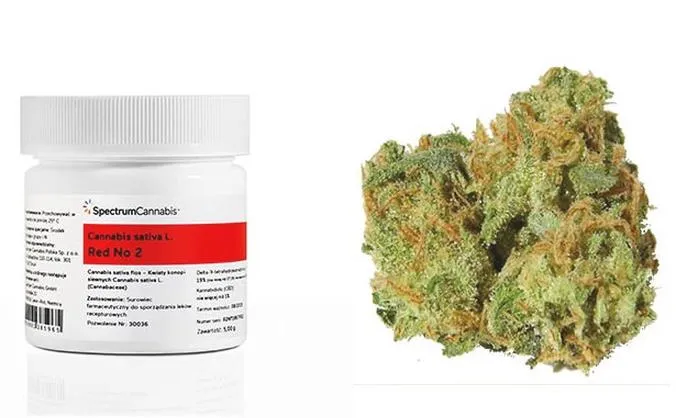 Leczenie kannabinoidami