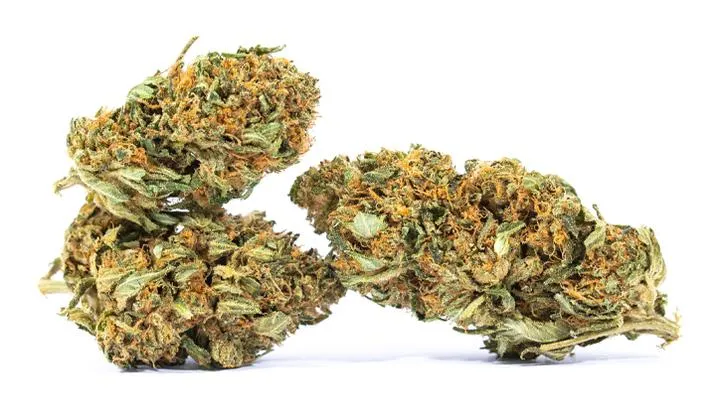 Lemon Skunk właściwości i korzyści