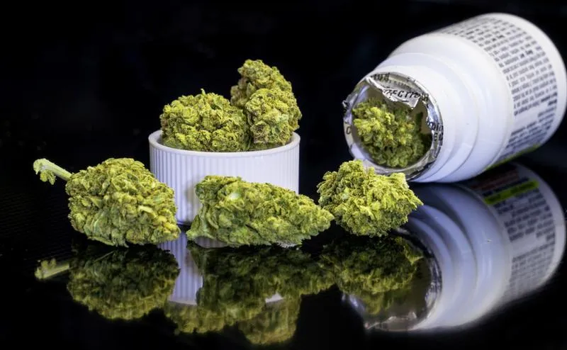 Medyczna marihuana