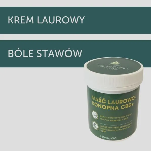 Najlepsze sklepy z maścią