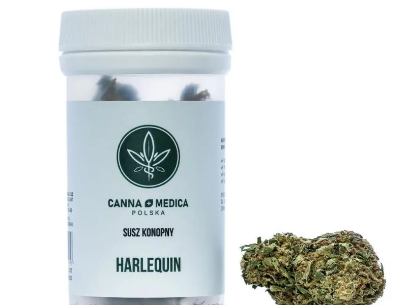 Rozwój i trendy rynku suszu konopnego