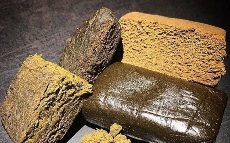 Status prawny haszyszu w Polsce