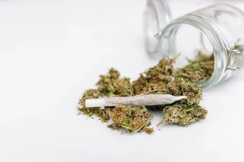 Testy narkotykowe mocz krew włosy