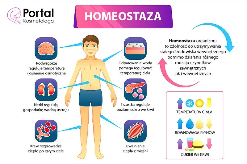 Transport żelaza OUN