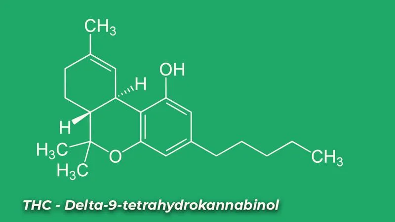 Właściwości lecznicze THC