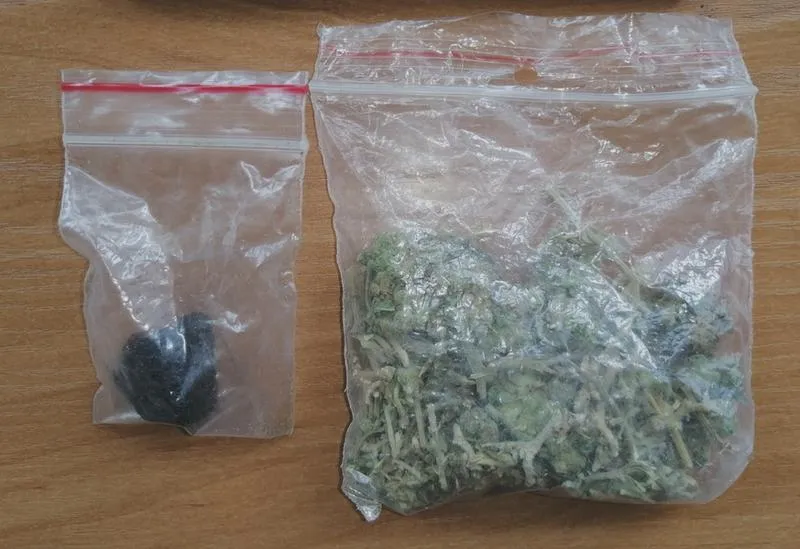 Wpływ haszyszu na organizm