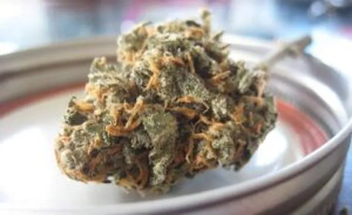 Wpływ narkotyków na prowadzenie pojazdu